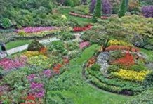 Victoria and the Butchart Gardens Tour